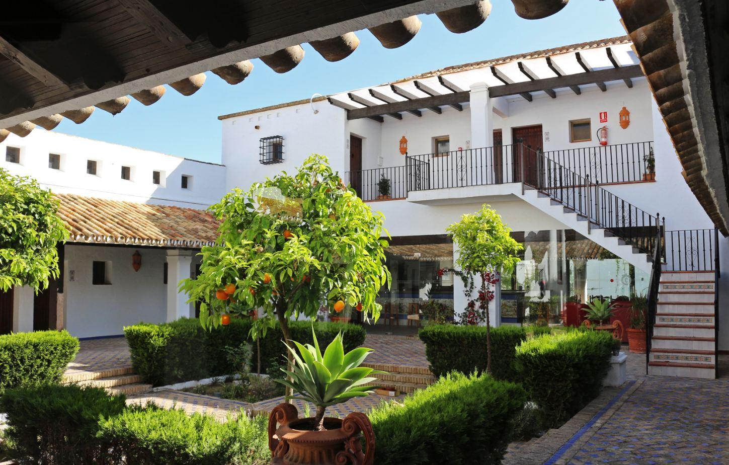 Moon Dreams El Cortijo Otel Matalascañas Dış mekan fotoğraf